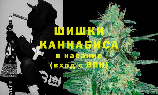 прущие грибы Балахна