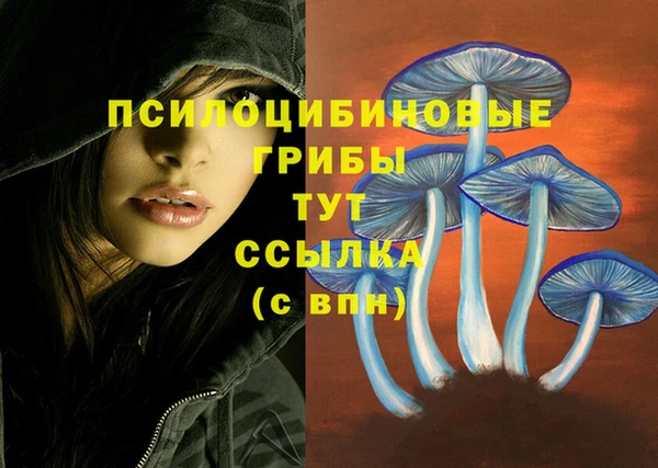 mix Баксан