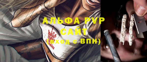 хмурый Рославль