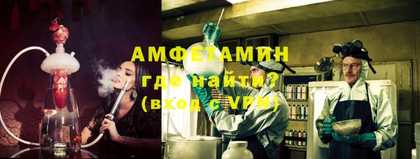 прущие грибы Балахна